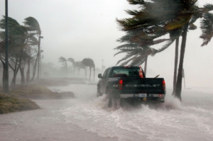 Hurricane Insurance Policy Florida